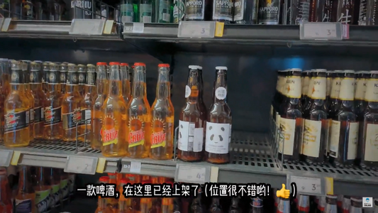 【芬兰创业家】唐超-芬兰啤酒大观+如何买到熊猫精酿？（中）
